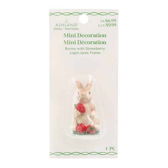 Mini Bunny with Strawberry by Ashland®